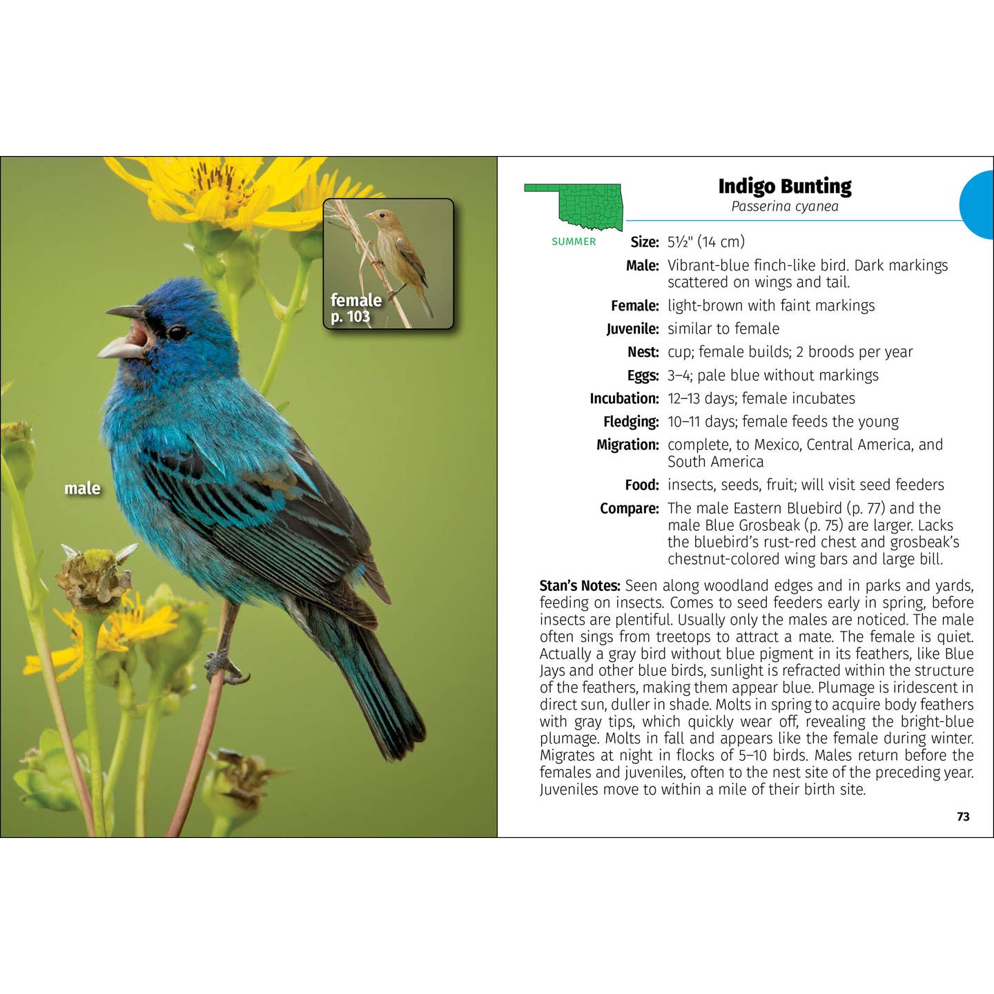 Birds of Oklahoma Field Guide (2nd Edition)