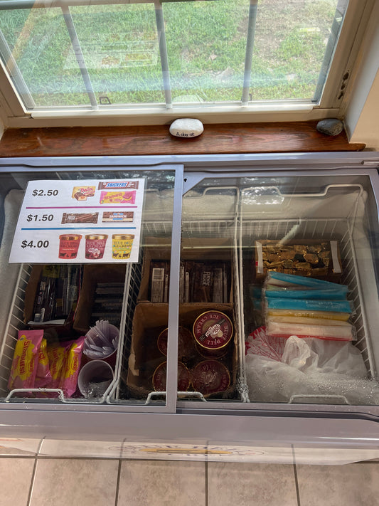 WE Ice Cream Freezer