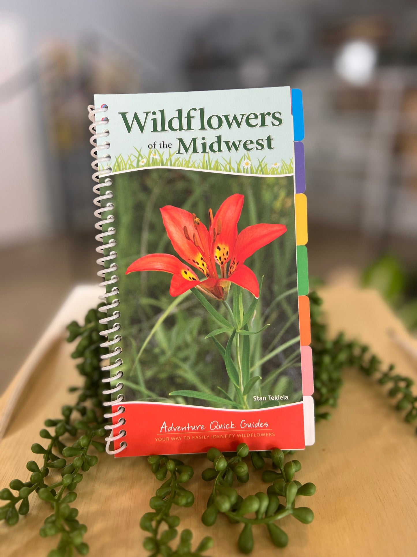 Wildflowers of the Midwest Book