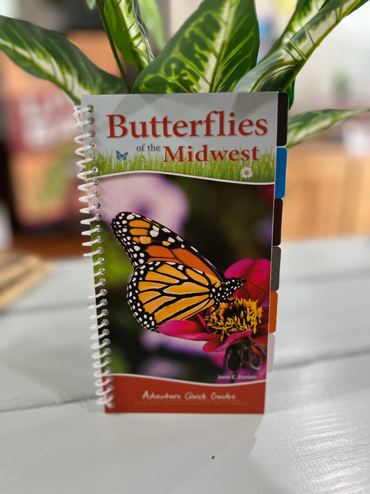 Butterflies of the Midwest Field Guide (2nd Edition)